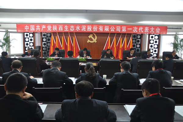 中國共產黨陜西生態水泥股份有限公司召開第一次代表大會